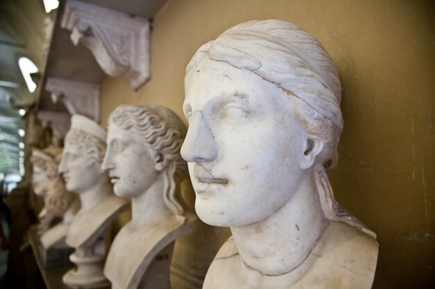 Vatican Museums, Rome, Italy: collection of statues