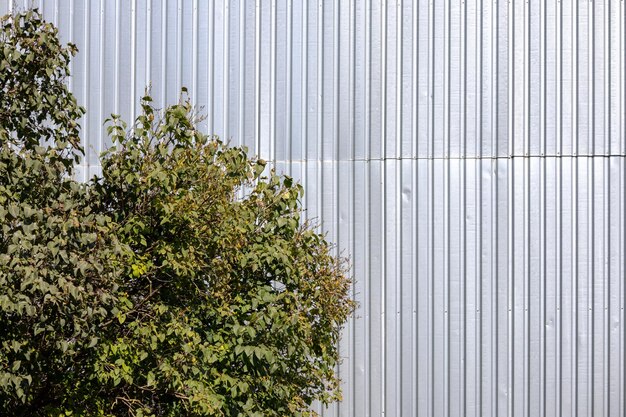 Photo a vaulted metal wall with green tree foliage in the foreground