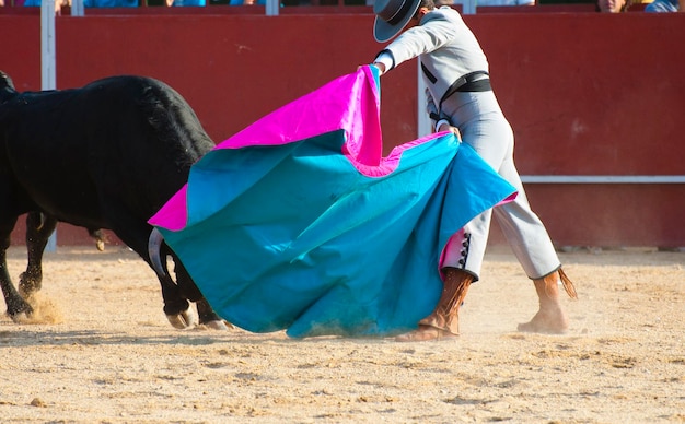 Vechtende stier foto uit spanje. zwarte stier