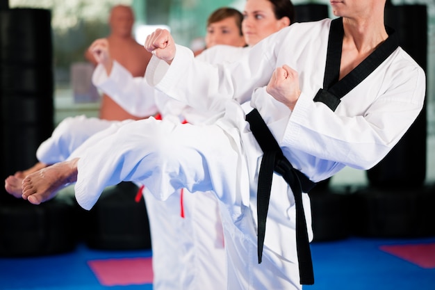 Vechtsporten sport opleiding in gymnastiek