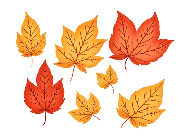 Photo vector autumn leaves vector illustration in hand drawn style
