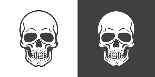vector black and white skull con set isolated skulls collection with outline cut out style in front view hand drawn skull head design template