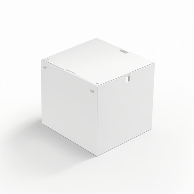 vector box mockup white