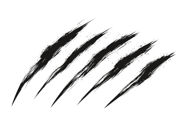 白い b に隔離された長い線でい動物の傷跡を示す黒い爪のベクトルイラスト