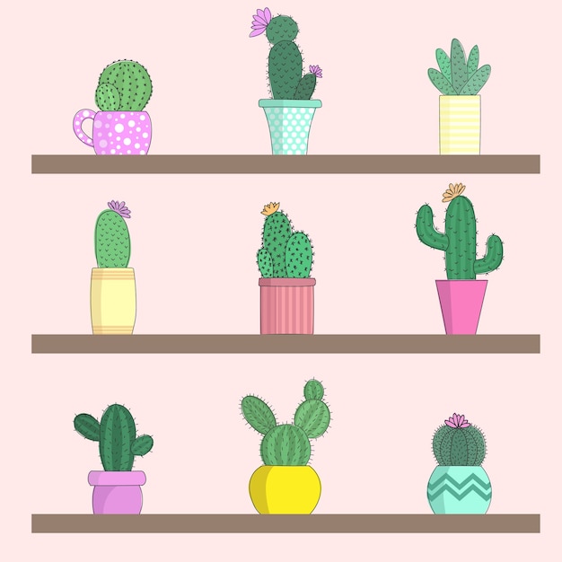 Vector illustration of a collection of cacti in flower pots on the shelves