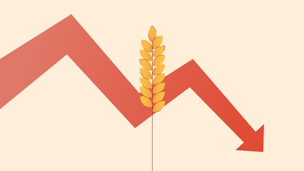 Foto illustrazione vettoriale che raffigura una singola spina di grano e una freccia a zigzag che indica verso il basso