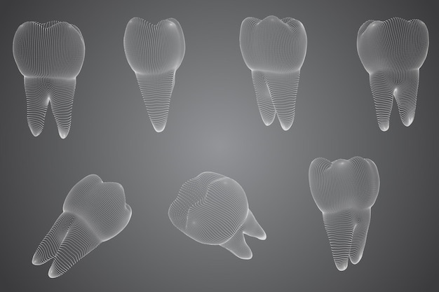 Vector set of 3d teeth for dental medicine