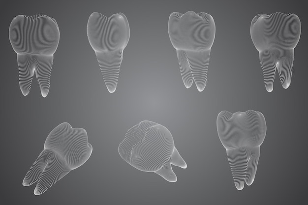 vector set of 3d teeth for dental medicine