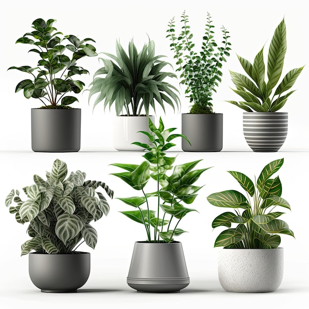 Vector set houseplant in pot realistic front view 3D Illustration green of indoor plant isolated on a white background Generative AI