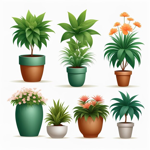 vector set of tropical plantsset of different houseplants in different pots