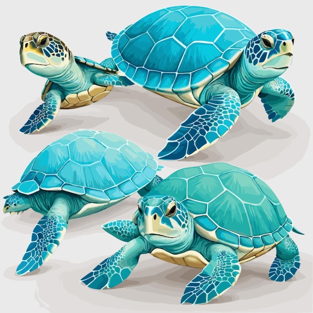 Vector van zeeschildpadden