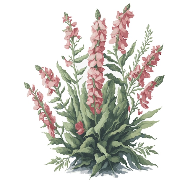 Vector Watercolor Potomac snapdragons clipart floral blossom editable