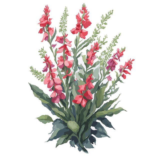 Vector Watercolor Rocket snapdragons clipart floral blossom editable