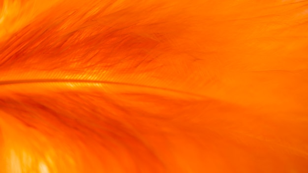 Veel abstracte oranje vezels van quill