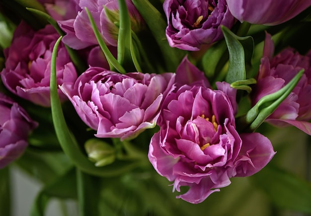 Veel bloeiende tulpen bloemen achtergrond