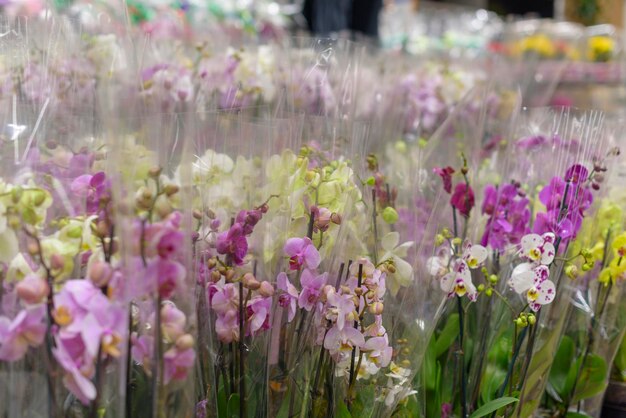 Veel boeketten orchideebloemen in verpakkingen op de markt, het concept van geschenken voor vrouwendag en moederdag