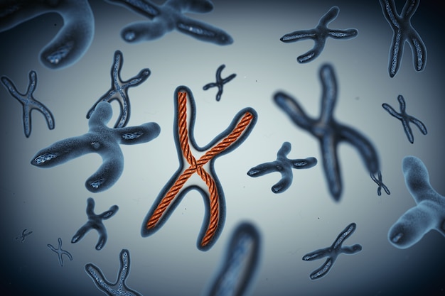 Veel chromosomen extreme close-up. 3D-rendering.