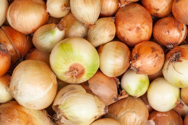 Veel gele gouden uien, gele ui close-up