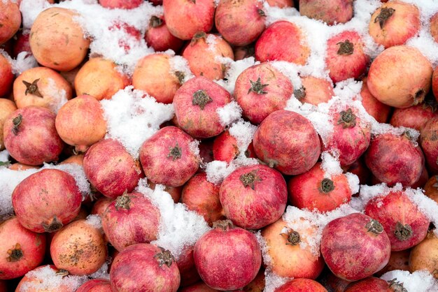 Veel granaatappels in de sneeuw Achtergrond