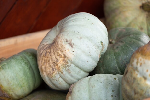 Veel groene pompoenen op de buitenmarkt