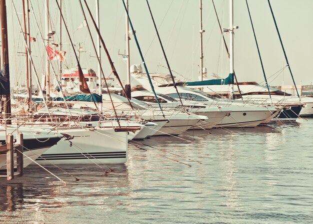 Veel jachten in een marine jachtclub