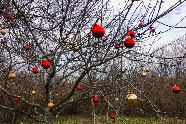 Veel kleurrijke kerstballen op een boom in het bos tijdens wandeldetail