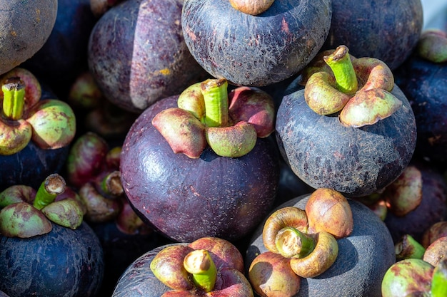 Veel mangosteen om te verkopen op de markten in Thailand