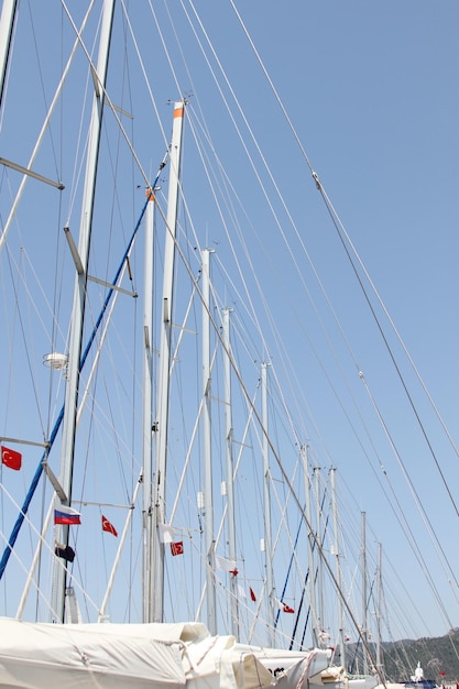 Veel masten tegen de lucht