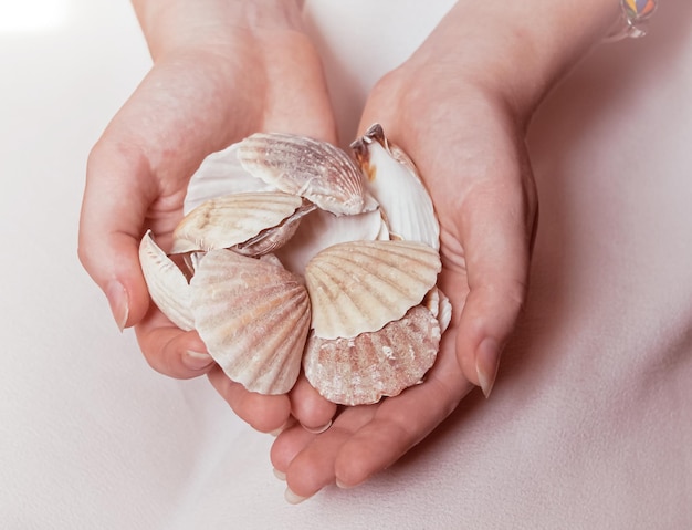 Veel mooie schelpen in de handen van het meisje