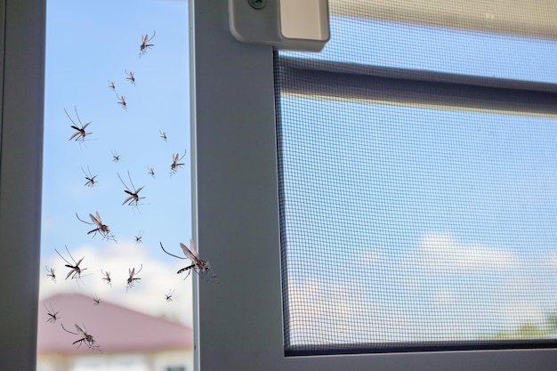 Veel muggen vliegen het huis binnen terwijl het insectennet geopend was