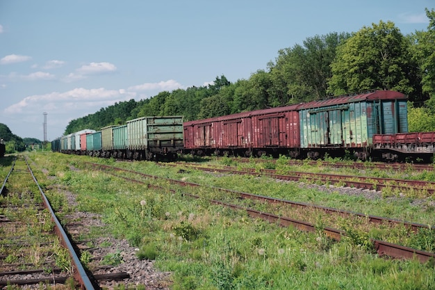 Veel oude treinwagons treindepot