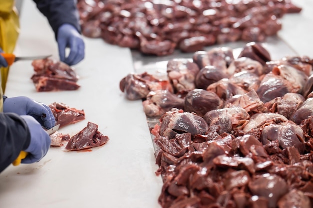 Veel rauw vlees hing en gerangschikt in een rij in een vleesverwerkingsfabriek Horizontale weergave