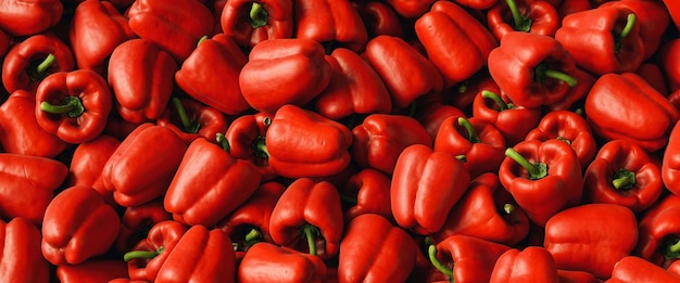 Veel rode biologische paprika of paprika op de markt te koop. stapel zoete paprika paprika achtergrond.
