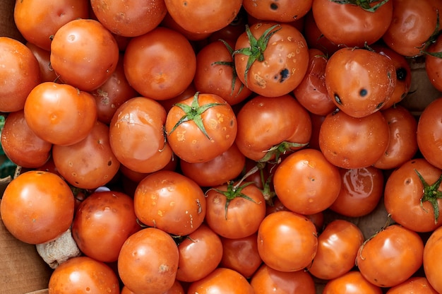 Veel rotte tomaten in de put gegooid. Het bedorven product zijn tomaten.