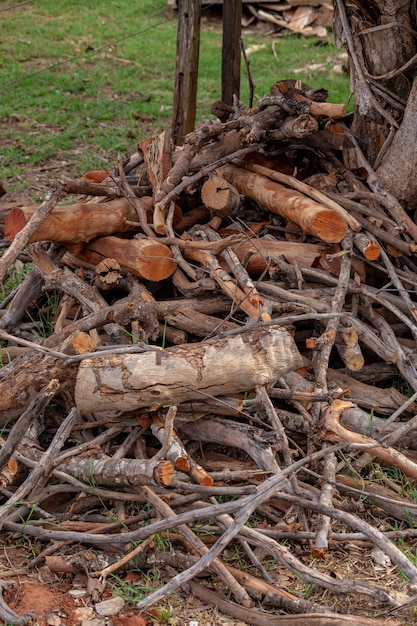 Veel takken om te drogen en hout te draaien voor houtkachel