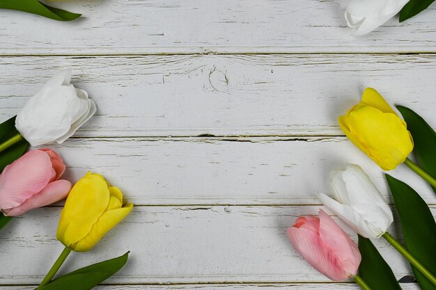 Veel tulpen op hout achtergrond