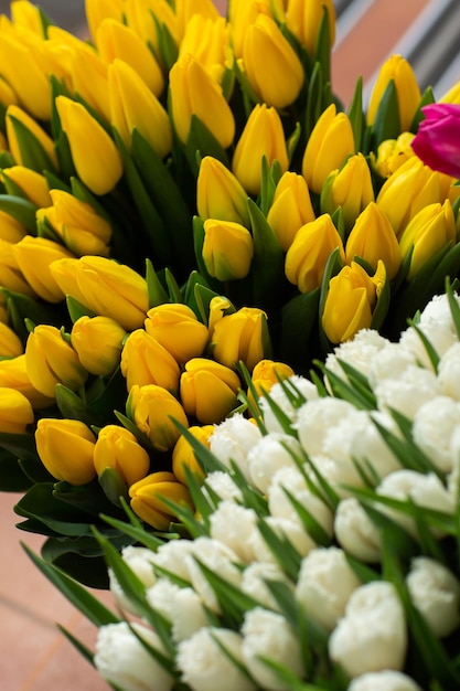 Veel verschillende kleuren op de standtafel in de bloemenwinkel Showcase Achtergrond van een mix van bloemen Mooie bloemen voor catalogus of online winkel Bloemenwinkel en leveringsconcept