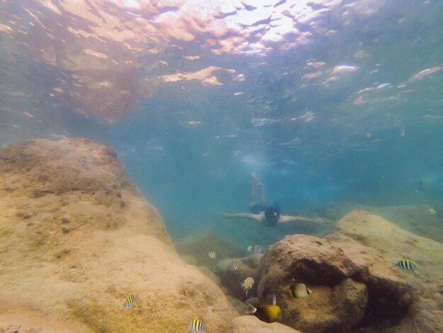 Veel vis anemonen en zeedieren planten en koralen onder water in de buurt van de zeebodem met zand en stenen in blauwe en paarse kleuren zeegezichten uitzicht op zee leven