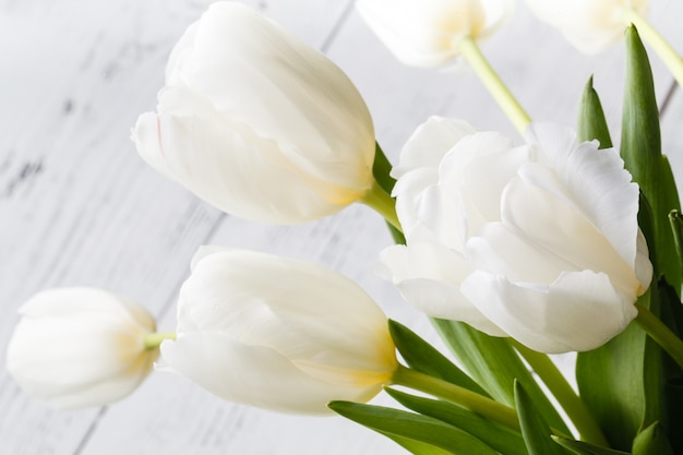 Veel witte tulpen op houten oppervlak