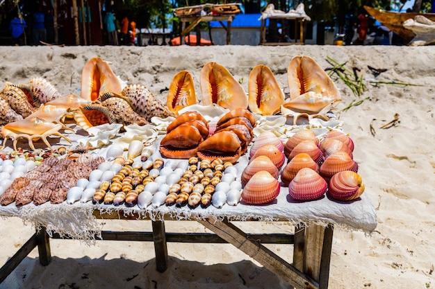 Veel zeeschelpen te koop op het strand van Zanzibar Tanzania