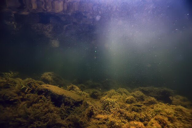 veelkleurig onderwaterlandschap in de rivier, algen helder water, planten onder water