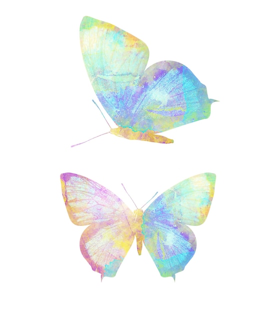 Veelkleurige aquarel vlinder. tropisch insect voor design. geïsoleerd op witte achtergrond