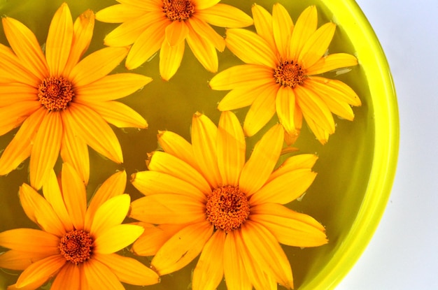 Veelkleurige bloemenmandala op drijvend op een waterbord gemaakt van verse bloemen.