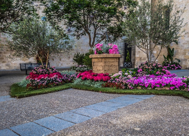 Veelkleurige bloementuin in de stad Sassari