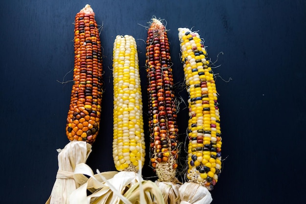 Veelkleurige Indiase maïs gemaakt voor Thanksgiving-decoratie.