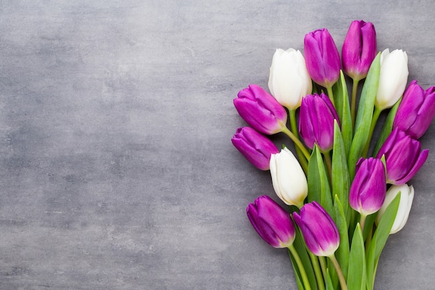 Veelkleurige lentebloemen, tulp op een grijze achtergrond.