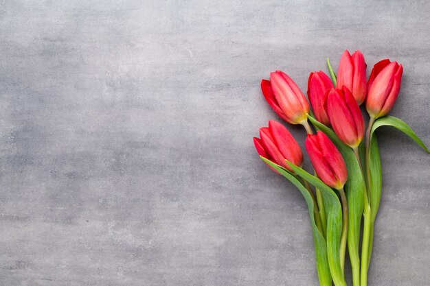 Veelkleurige lentebloemen, tulp op een grijze achtergrond.