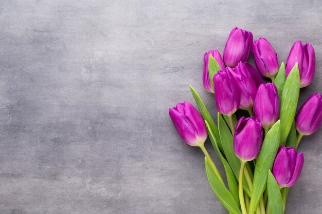 Veelkleurige Lentebloemen, tulp op grijs