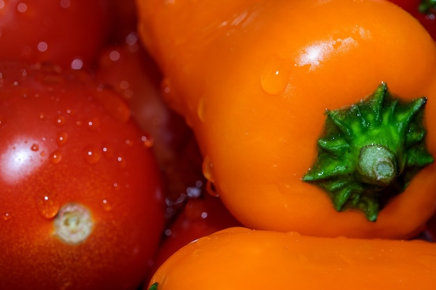 Veelkleurige paprika's en rode rijpe tomaten worden gewassen in schoon water close-up macrofotografie op een zwarte achtergrond