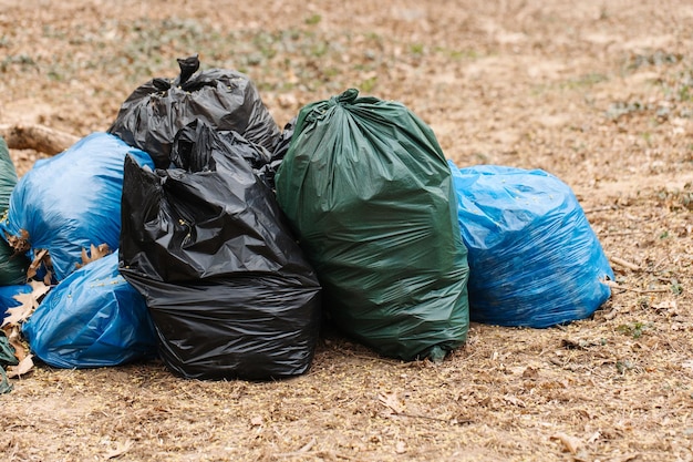 Veelkleurige plastic vuilniszakken in de voorjaarsschoonmaak van het park Bladeren en afval in zakken